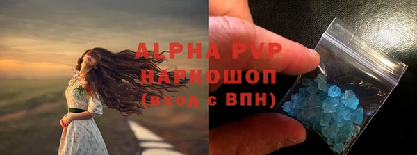 молекула духа Надым