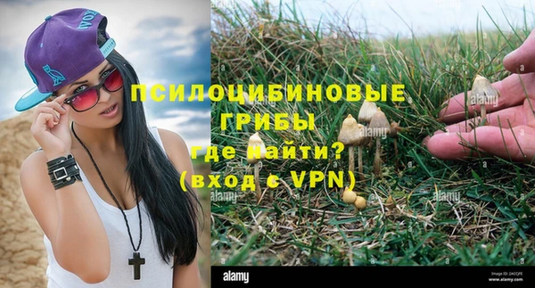 сатива Навашино