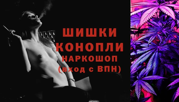молекула духа Надым