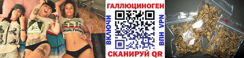 Псилоцибиновые грибы Psilocybe  Минусинск 