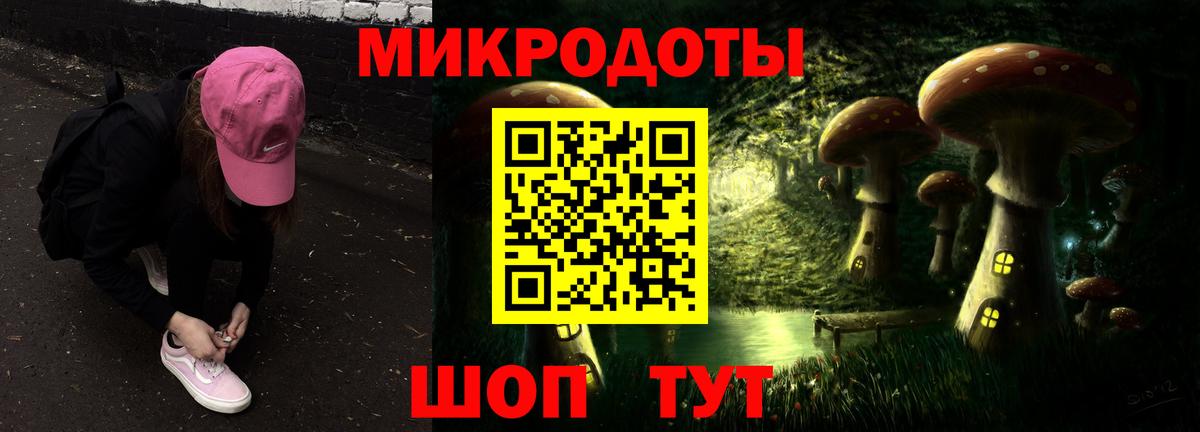 Галлюциногенные грибы Psilocybine cubensis Минусинск
