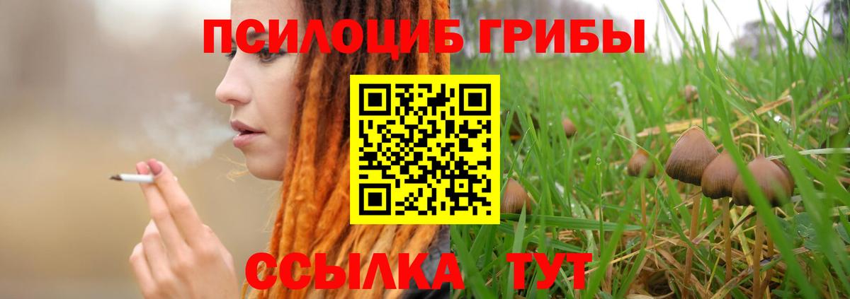 Минусинск  Псилоцибиновые грибы Psilocybine cubensis  Вход с VPN 